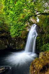 waterfall in the forest