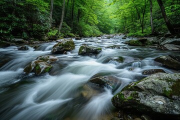 Obraz premium A cool mountain stream cascades down North Carolina's lush Blue Ridge Mountains.