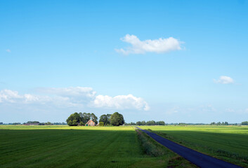 country road and farm with green meadows in national park weerribben wieden near Giethoorn in the netherlands