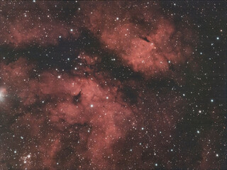 Butterfly nebula in Sadr region, Barnard 347, IC 1318, astrophotography © David Kreuzberg