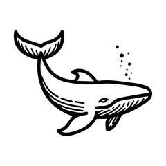 Whale icon or modern line symbol. Vector line art and icon design with bold outline. Black and white Pixel Perfect minimalistic symbol isolated white background. Silhouette simple thin sign