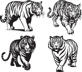 tiger animals art graphic resources vector Element image design