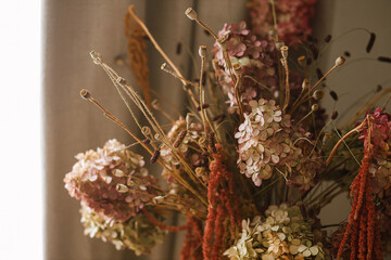 Dry hydrangea, poppy and amaranth in stylish vase close up. Fall decor in modern living room....