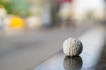 brain model on a granite building parapet near the road, symbolizing intelligence and knowledge in urban architecture with a focus on mental health and cognition