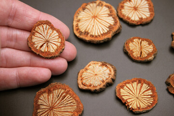 Miniature Natural Wood Chip Slices with Star Pattern Craft Supplies