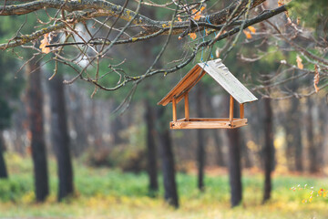 Bird feeder hanging on a branch in the park