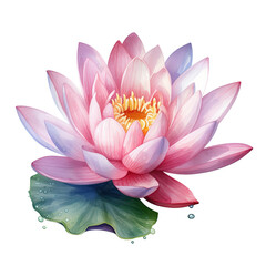 Watercolor Waterlily Flower, clipart Illustration, Generative Ai