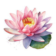 Watercolor Waterlily Flower, clipart Illustration, Generative Ai