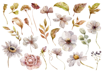 Watercolor autumn illustration of daisy flowers, eucalyptus, dried leaves, berries. Hand painted watercolor clipart for greeting card, stickers, wedding invitation