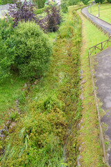 A failed rainwater drainage channel in need of cleaning and removing overgrown grass and vegetation