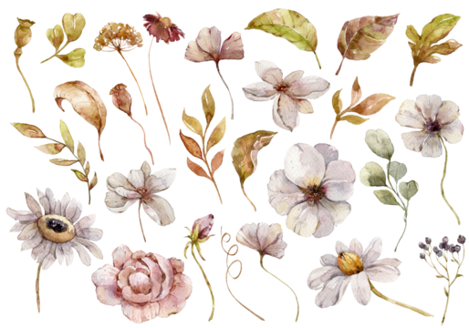 Watercolor autumn illustration of daisy flowers, eucalyptus, dried leaves, berries. Hand painted watercolor clipart for greeting card, stickers, wedding invitation