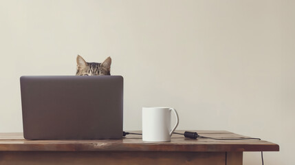 Cat Peeking Over Laptop On Desk With White Mug Nearby