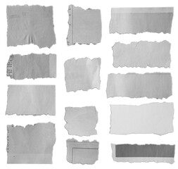 Torn pieces of paper