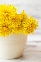 Distinct texture and vibrant color of yellow dandelions in white pot and white wooden background.
