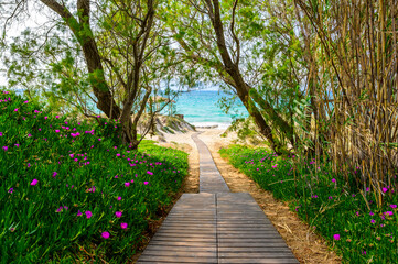 Fototapete bei efototapeten.de bestellen   