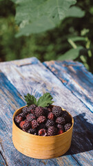 Black raspberry in a bowl close-up