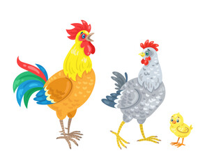Chicken family. Cockerel, hen and a funny yellow chicken. Isolated on white background. Vector flat illustration.