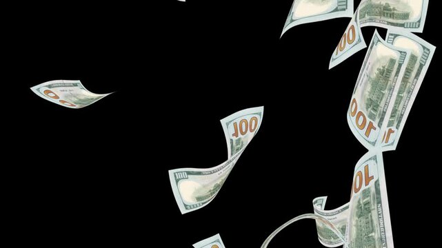 100 dollars falling free on black background for overlays with alpha matte blending. HD video