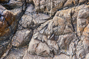 Intricate Rock Texture with Moss Close-Up Perspective