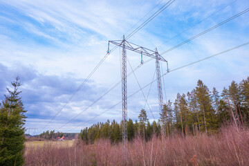 power lines in the forest