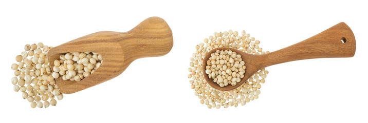 Sorghum seeds in wooden scoop isolated on white background. Top view. Flat lay.