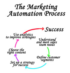Components of Marketing  Automation Process