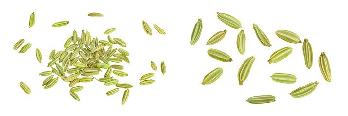 Dried fennel seeds isolated on white background . Top view. Flat lay