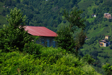 view from the mountain to the valley and tea plantations, in Turkey