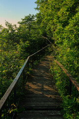 Clouds and fog over mountains in Rize, Turkey