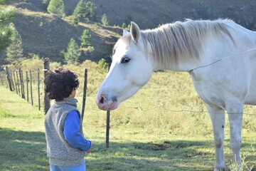 niño con caballo blanco © Zamora