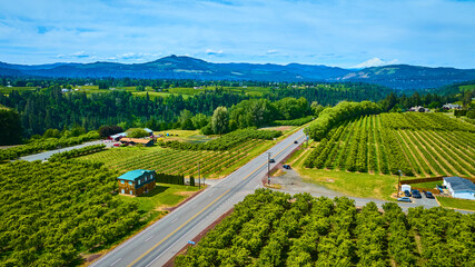 Aerial View of Oregon Orchards with Mount Hood in Background © Nicholas J. Klein