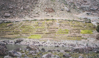 Fields and plantations in the mountains on a sunny day in the mountains of Tajikistan in the Pamirs