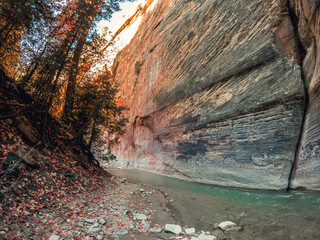 The Upper Narrows of Zion, Top-Down Trail, Zion National Park, Utah
