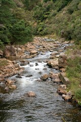 water flows over the rocks in a river in the mountains, the ohenemuri river