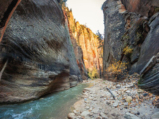 The Upper Narrows of Zion, Top-Down Trail, Zion National Park, Utah