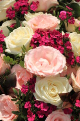 Pink and white roses