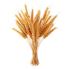 Fototapeta premium wheat ears isolated on white background