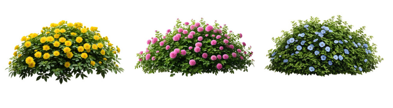 Conjunto de arbustos de flores rosa, amarelo e azul isolado em fundo transparente 