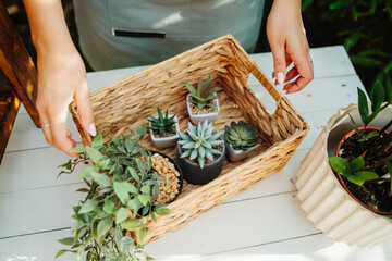 One young caucasian woman is taking care of her plants using plant mister and water can	