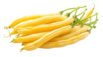 Yellow beans on white background