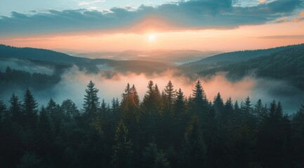 Sunrise Over Foggy Mountains In A Coniferous Forest