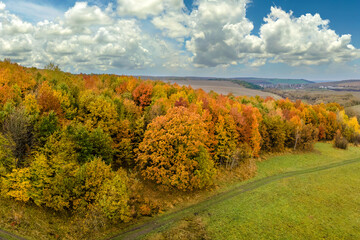 Fototapeta premium Rural dirt road in autumn woods with yellow and orange canopies in colorful forest. Landscape of wild nature in fall season