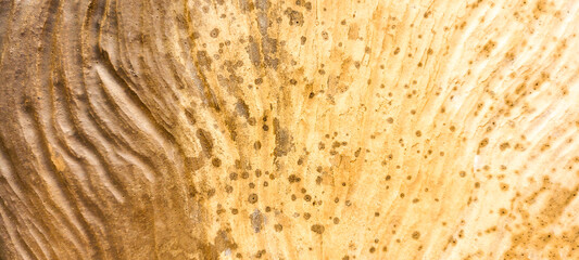 light yellow and gold background with shadow