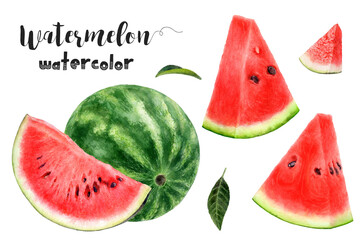 Watercolor botanical artwork depicting watermelon slices, whole watermelon, and leaves. PNG