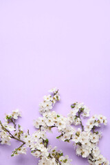 Blooming branches on lilac background