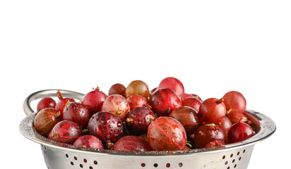 Colander with fresh gooseberries on white background