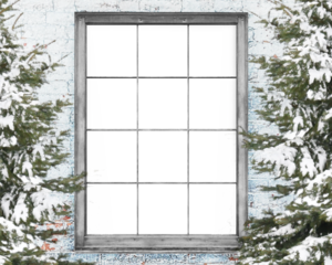 A winter scene of the outside of a house looking into the inside of a blank home with trees. Add your portrait into the cutout copyspace area for a creative holiday portrait idea.
