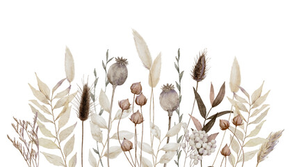 Watercolor Dry Floral Background with poppy pods, bunny tail grass, and dried leaves, Dried flowers background
