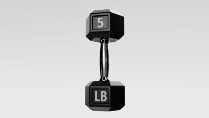 Black 5 lb dumbbell with chrome bar on white background, isolated