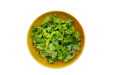 Fresh organic coriander, vegetables and herbs